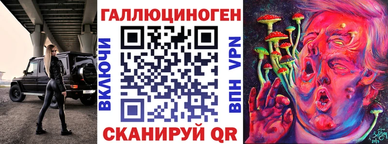 закладки  Нижняя Тура  Псилоцибиновые грибы Psilocybe 